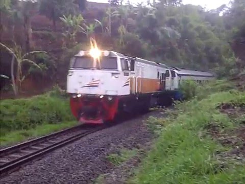 Ular Raksasa Nyebrang Jembatan - YouTube