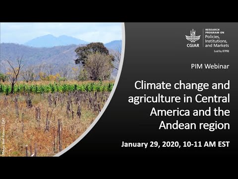 Climate change and agriculture in Central America and the Andean region
