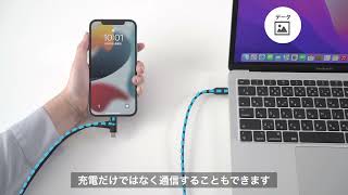 USB Type-C 2in1急速充電ケーブル（Lightning PD60W データ転送 MFi認証 MacBook Pro/Air iPhone iPad/Pro）500-IPLM030BK