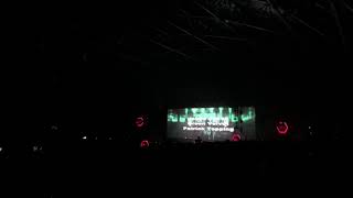 Cream fields 2019 green velvet jamie Jones Patrick toppings