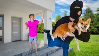 CRAZY STALKER STOLE MY DOG!