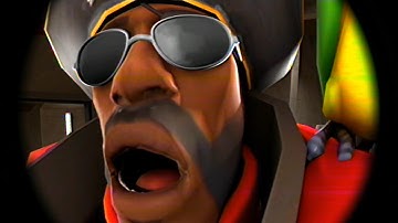 Have you seen my hamster??