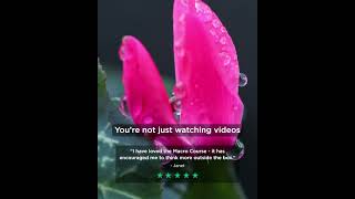 Learning With Experts - Founders Story