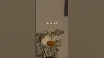 القارئ : جابر القيطان ✨