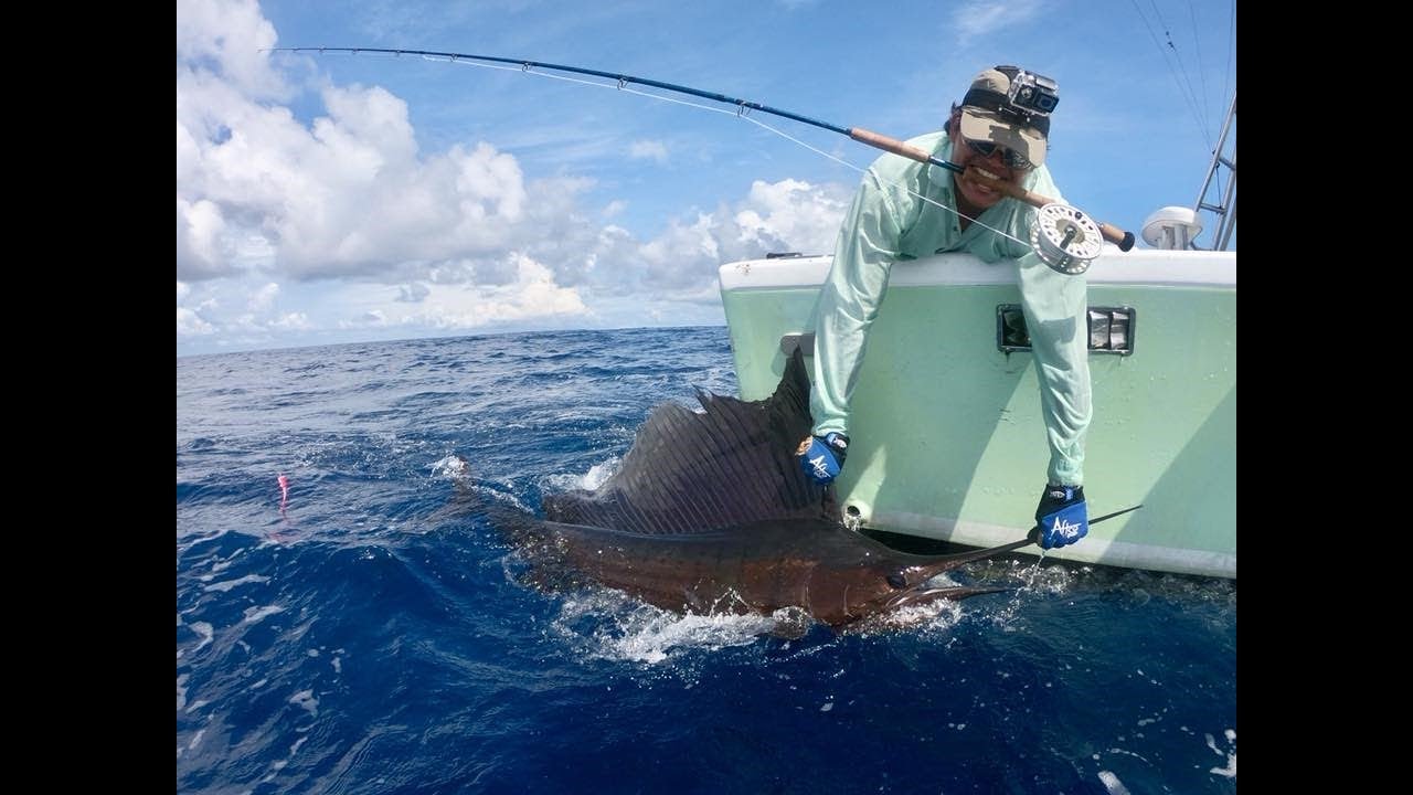 Sailfish on the Fly Costa Rica!