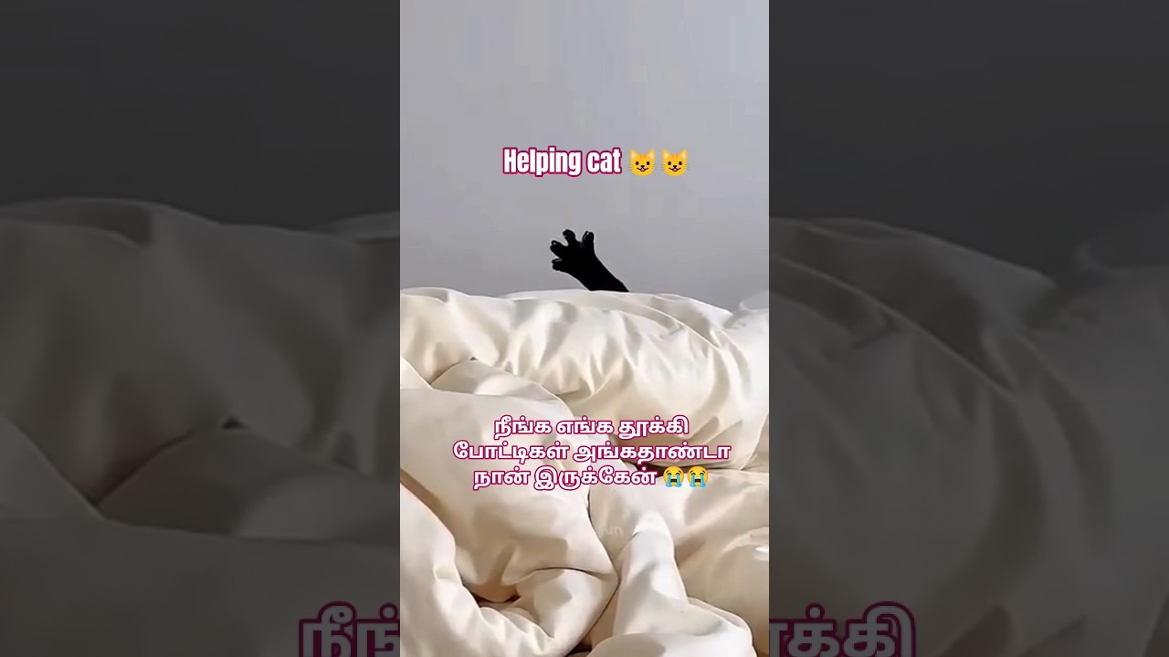 ஊமைத்துரை எங்கடா போன? 😂 | Funny Animal Memes Tamil | 