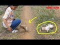 Baby Monkey Luna Crying Very Loudly Refuse To Walk With Monkey Kako