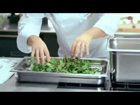 BAMA Baby Leaf - Dine salatfavoritter i n pose klar til bruk