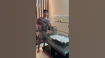 New Big Cage for Budgies #budgies #birds #aviary