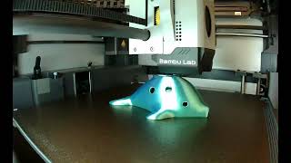 Dolphin Ocarina Single-color Print Timelapse (Dualcolor Silk)