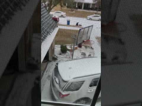 وزير ا ظم عمر ا ن خا ن وز ير و ا خلة شيخ رشىير نا م