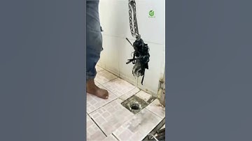 𝐓𝐇𝐄𝐎 𝐃𝐎̃𝐈 𝐂𝐀 𝐓𝐇𝐎̂𝐍𝐆 𝐂𝐎̂́𝐍𝐆 𝐓𝐀̣𝐈 𝐍𝐇𝐀̀ 𝐂𝐔̀𝐍𝐆 𝐒𝐀̀𝐈 𝐆𝐎̀𝐍 𝐄𝐂𝐎