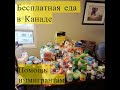 Бесплатная еда в Канаде (фудбанк). Помощь иммигрантам. Иммиграция в Канаду