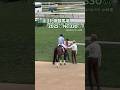 ☆UHB賞☆ほぼ札幌競馬場2025☆No.330☆8月10日.札幌.11R☆ #horse #サラブレッド #馬 #競馬場 #札幌競馬場 #誘導馬