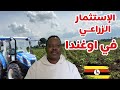الإستثمار الزراعي  في اوغندا