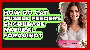 How Do Cat Puzzle Feeders Encourage Natural Foraging? - Happy Cat Handbook