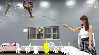 【釣蝦日記】開箱史上最貴公蝦池...一小時750元的泰國蝦一隻換龍蝦/現金500元…..shrimp fishing エビ釣り采蓁 Patti