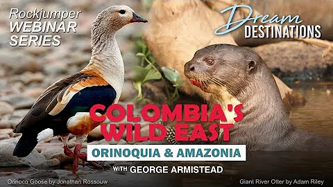 Colombia's Wild East with George Armistead