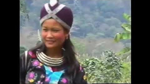 Hmong Movie ob viv ncaus thiab niam tais poj dab