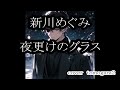 新川めぐみ 夜更けのグラス cover tomogara2