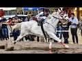 🔥Principe/🐬 C. Boludos🔥 Carril Zapata, OAX.