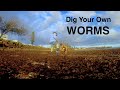 Redcliffe Rock WORMS, Dig your own. Best Live Bait Ever. 90 sec series EP5