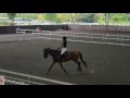 Girl cantering along coolly until all hell break loose