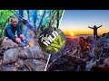 Solo survival adventures with a twist no food from mountains to the ocean just wild nz trailer