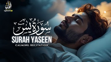 Surah Yaseen (Yasin) سورة يس | Deep Spiritual Relaxation Before Sleep | Peaceful Quran TV