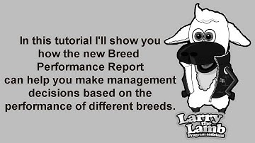 Breed Performance Report - A Select Sheepware Tutorial