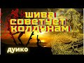 Эзотерический вэбинар. Шива чему он научит колдуна! Магические советы.