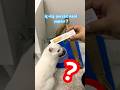 İç dış parazit nasıl yapılır ? #cat #parazit #kedi