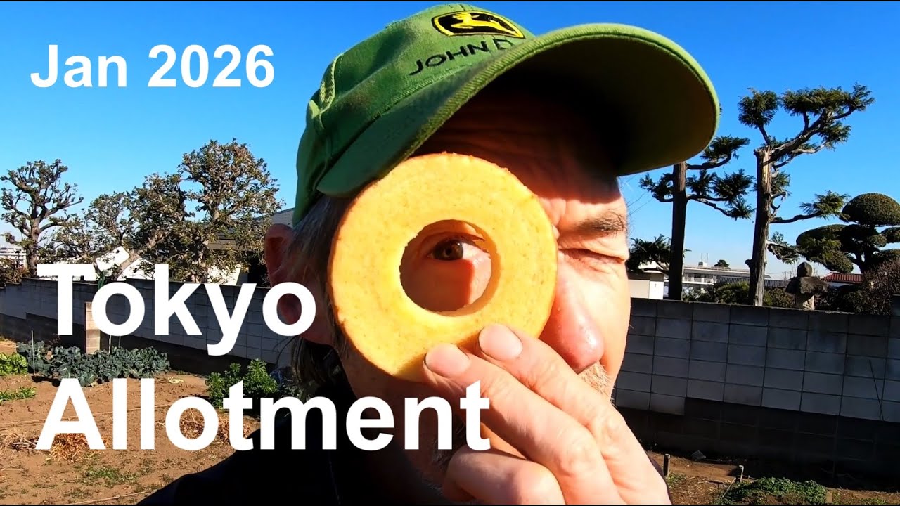 Tokyo Allotment - early January 2026