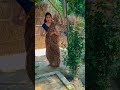 तोहार कमर है की मटका हो ❤️🥰#viralvideo #dance #shortvideo #village