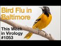 TWiV 1053: Bird flu in Baltimore