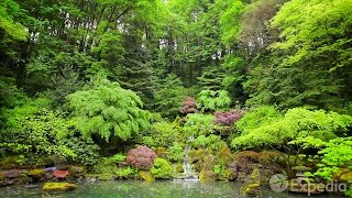 Portland - City Video Guide