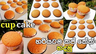 vanila cup cake/how to make cup cake/හරියට කප් කේක් හදමු සොෆ්ට් එකට/cup cake recipe by sapumal screenshot 5