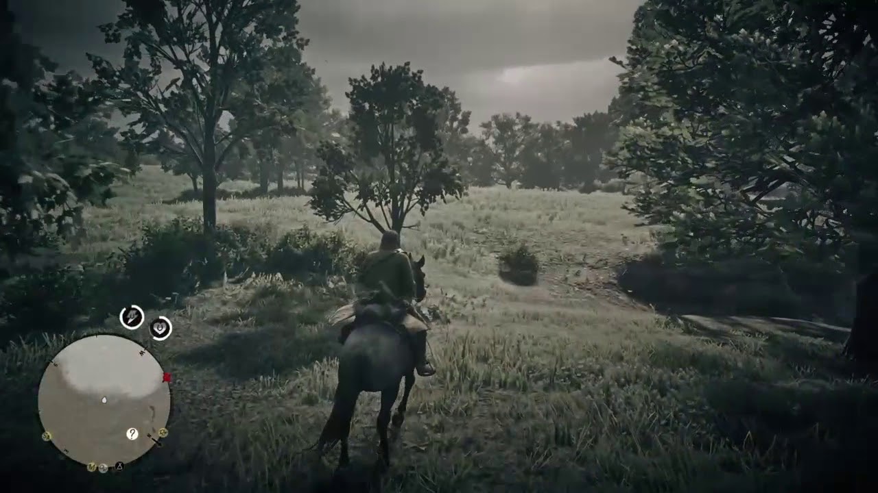Red Dead 2 Legendary Coyote _ RDR2 Legendary Coyote Location and Coyote ...
