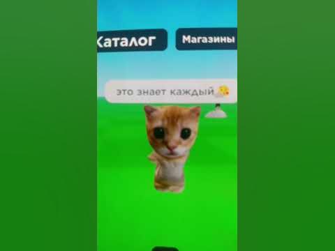 Эль гато - YouTube
