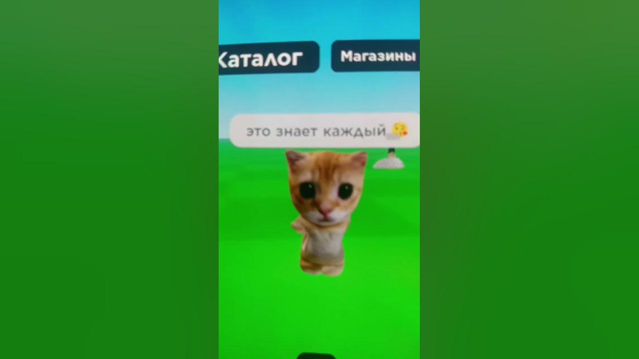 Эль гато - YouTube