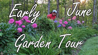 SPRING Early June Garden Tour 🌸 Rural New Hampshire 5b
