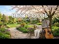 Best Study Music 🎸 Acoustic Guitar for Deep Focus, Concentration &amp; Productivity