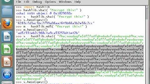 Python [hashlib] 04 SHA1 Hashing