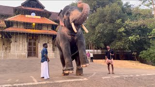 വീണ്ടും രണ്ടു കാൽപൊക്കി ചാടി കീഴൂട്ട് ശ്രീകണ്ഠൻ സൂപ്പർസ്റ്റാർ അയി...ഒപ്പം കാശിനാഥനും