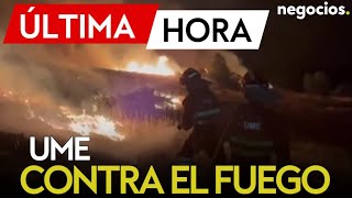 ÚLTIMA HORA | Los incendios arrasan España: la UME se despliega en Madrid, León o Ávila