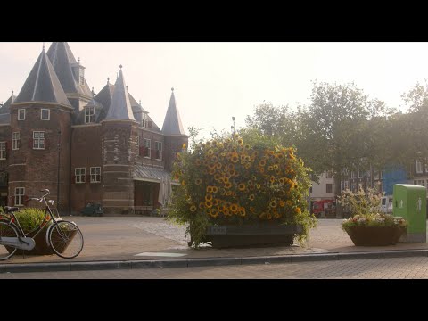 Takii x Van Gogh Museum - Sunflower Flash Amsterdam 2021
