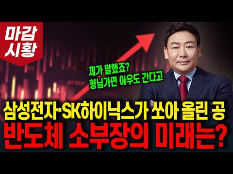 삼성전자·SK하이닉스가 쏘아 올린 공! 반도체 소부장의 미래는? (제가 말했죠? 형님가면 아우도 간다고)
