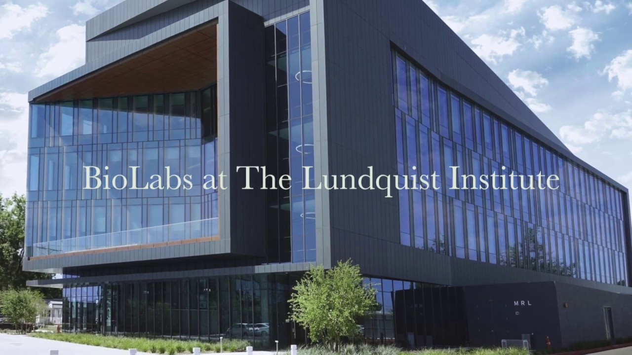 BioLabs LA at The Lundquist Institute Virtual Tour YouTube
