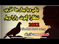 Pakhi Waya Piyar Ja Udri Singar Muhammad Khan Rind Poet Asghar Mehrai Pakhi Waya Piyar Ja Udri Singar Muhammad Khan Rind Poet Asghar Mehrai