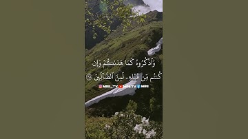 ماهر المعيقلي - سورة البقرة ( برواية حفص عن عاصم ) الأية 198 - 199